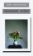 Náhradná dcéra