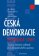 Česká demokracie po roce 1989