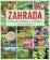 Zahrada