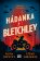 Hádanka z Bletchley