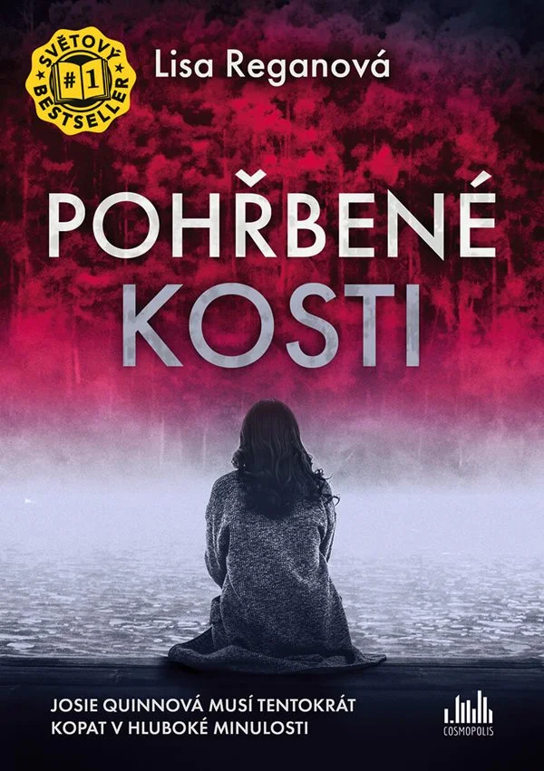 Stojí za mrazivým příběhem tajemství? Recenze knihy Dotek osudu 10 9788027132515