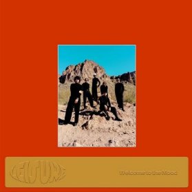 LP Leisure - Welcome To The Mood (Orange Vinyl)