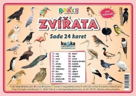 Ptáci zvířata - Sada 24 karet