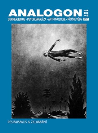 Analogon 107