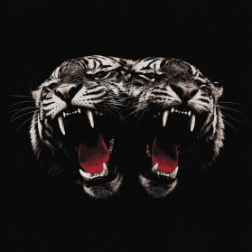 CD Royal Blood: Dead Company