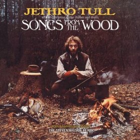 Songs From The Wood