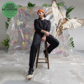 LP McMorrow James Vincent -  Grapefruit Season
