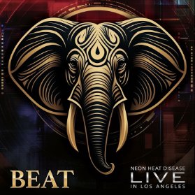 3LP Beat - Live
