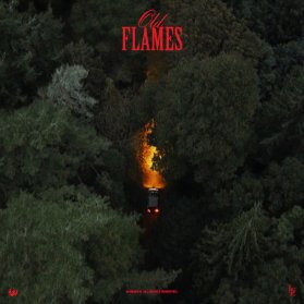 LP LA ROUX - Old Flames