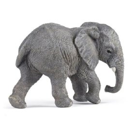 Slůně afrického slona