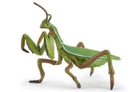 Kudlanka nábožná - figurka Papo 50244