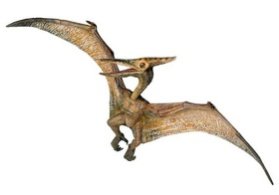 PTERANODON