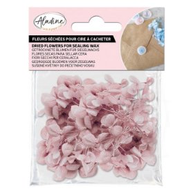 Sušené květiny do pečetí Aladine - rose poudré, pudrově růžové