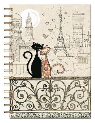 Note book NBA6H017 A6 Sp.