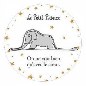Magnet MAGR07G34 MALÝ PRINC KIUB