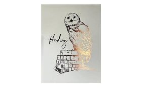 Harry Potter Plakát - Hedvika