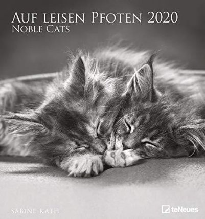 teNeues kalendář Noble Cats 2020 (45 x 48 cm)