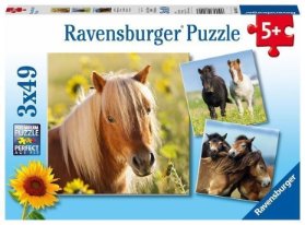 Puzzle Sladcí koně/3x49 dílků