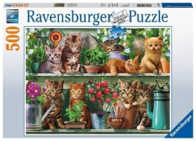 Puzzle Kočky na knihovně 500 dílků