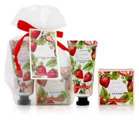 Set péče o ruce ESSENTIAL BOTANICALS organza Jahoda a vanilka 20ml+25g bal.