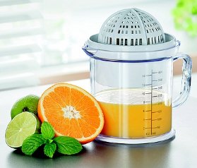 Lis na citrusy