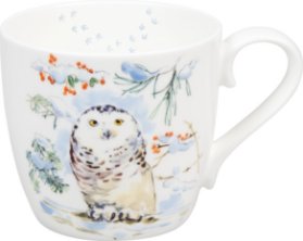 Winter Owl - zimní sova