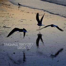 LP Tingvall Trio - Birds