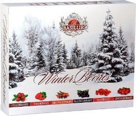 BASILUR Winter Berries Assorted přebal 60 gastro sáčků