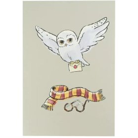 Harry Potter zápisník A5 - Hedvika
