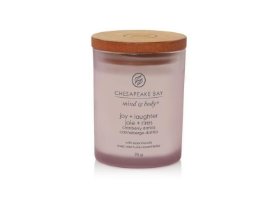 Vonná svíčka CHESAPEAKE BAY CANDLE Joy & Laughter 96g