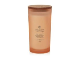 Vonná svíčka CHESAPEAKE BAY CANDLE Love & Passion 355g