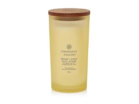 Vonná svíčka CHESAPEAKE BAY CANDLE Strength & Energy 355g