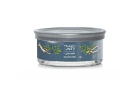 Svíčka YC.Signature tumbler střední 5knotů/Bayside Cedar 340g