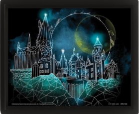 Harry Potter Obraz 3D - Bradavice