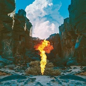 CD Bonobo - Migration