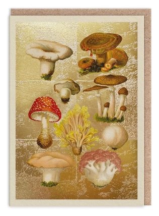 Přání 11993
