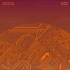 LP Chris Potter & Circuits Trio - Sunrise Reprise (Maroon Marbled vinyl)