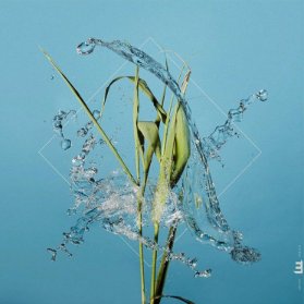 LP Fergus McCreadie - Stream (Crystal Clear vinyl)