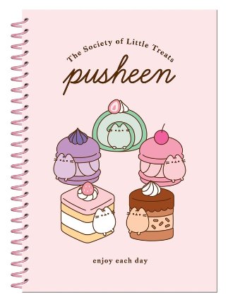 Pusheen Set (kroužkový blok a samolepky)