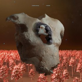 CD Soap&Skin - Torso