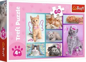 Trefl Puzzle Roztomilá koťátka 60 dílků