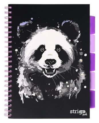 Blok SP A4/100l 80g blok Panda linka