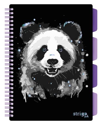 Blok SP B5/100l 80g Panda linka