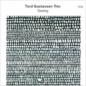 LP Tord Gustavsen Trio - Seeing