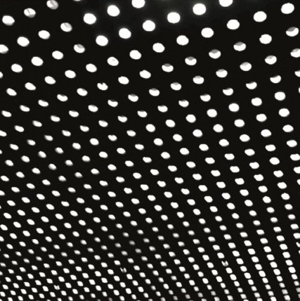 2LP Beach House - Bloom