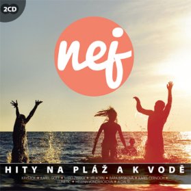 CD RUZNI/POP NATIONAL - NEJ HITY NA PLAZ A K VODE