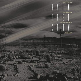 LP RAIN TREE CROW