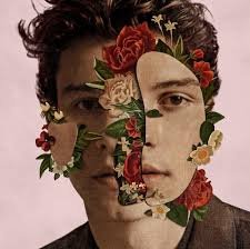 CD MENDES SHAWN - SHAWN MENDES