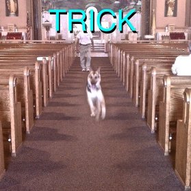 2LP Alex G - Trick