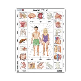 Naše telo - puzzle - OB1